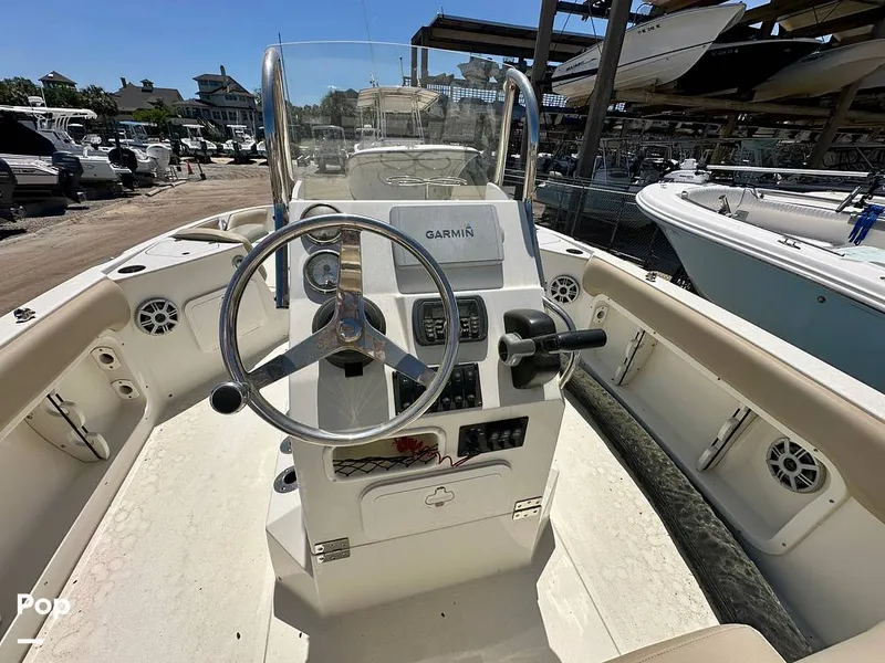 Slide: The Image of Stingray 206CC 2017 - 15406314