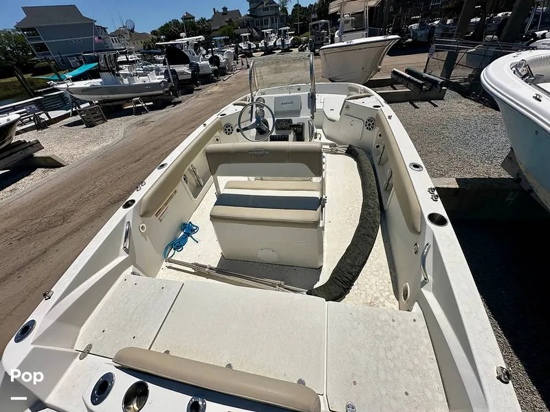 Slide: The Image of Stingray 206CC 2017 - 15406319