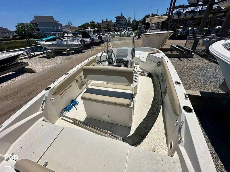 Slide: The Image of Stingray 206CC 2017 - 15406277