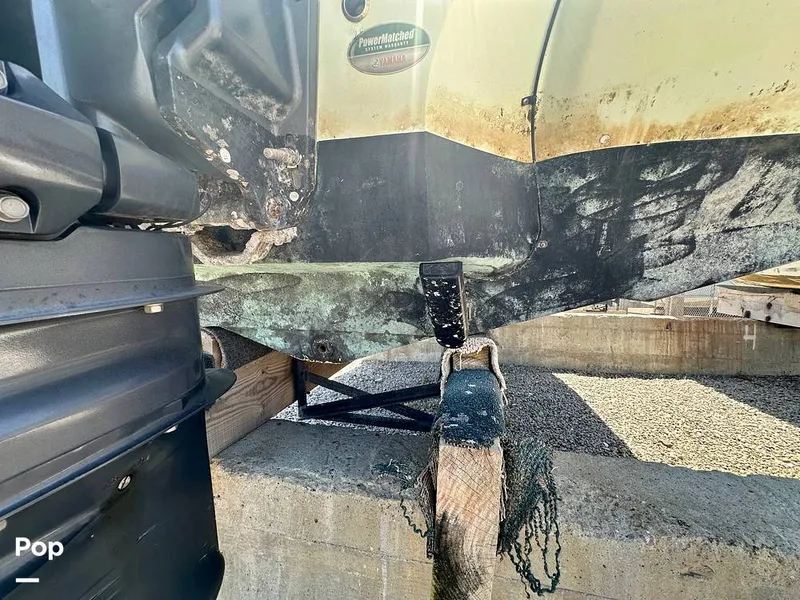 Slide: The Image of Stingray 206CC 2017 - 15406321