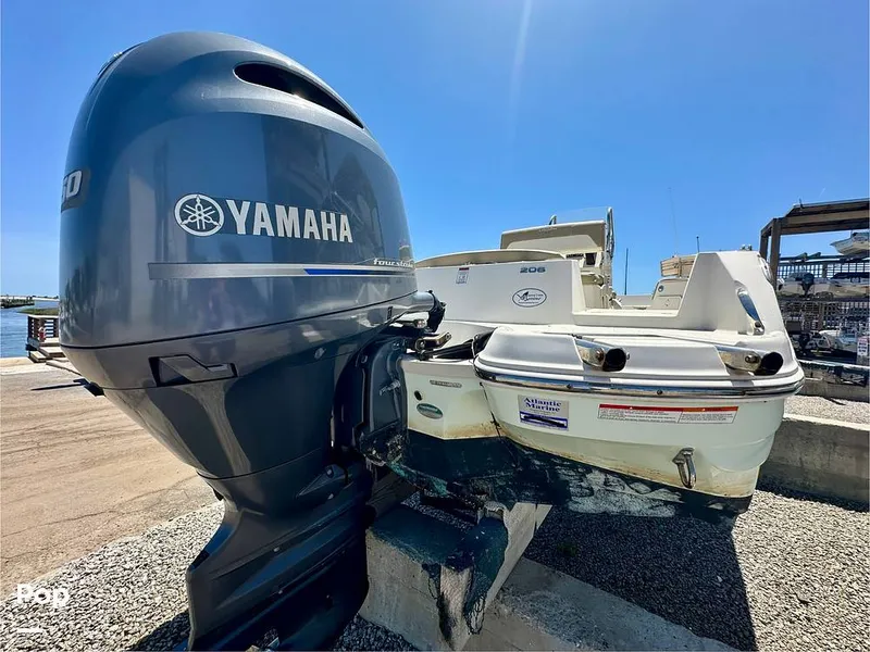 Slide: The Image of Stingray 206CC 2017 - 15406322