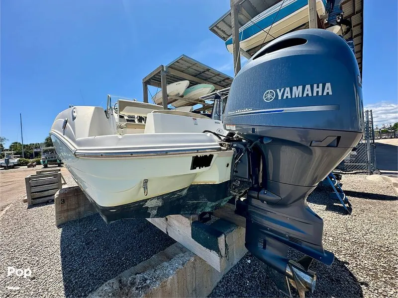 Slide: The Image of Stingray 206CC 2017 - 15406323