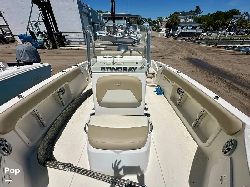 Slide: The Image of Stingray 206CC 2017 - 15406290