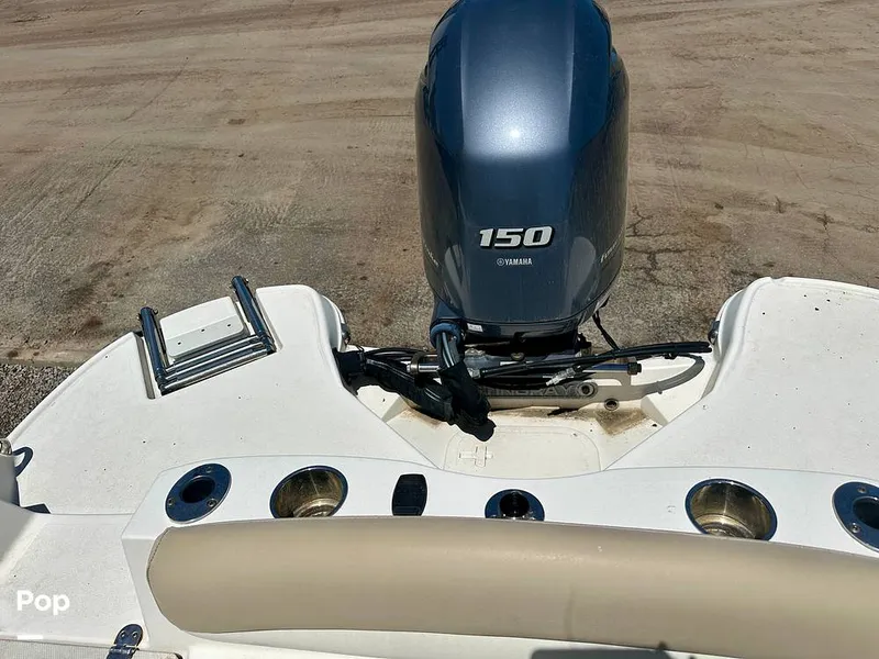 Slide: The Image of Stingray 206CC 2017 - 15406312