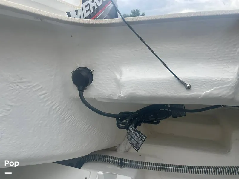 Slide: The Image of Tahoe 450 TF 2021 - 15294731