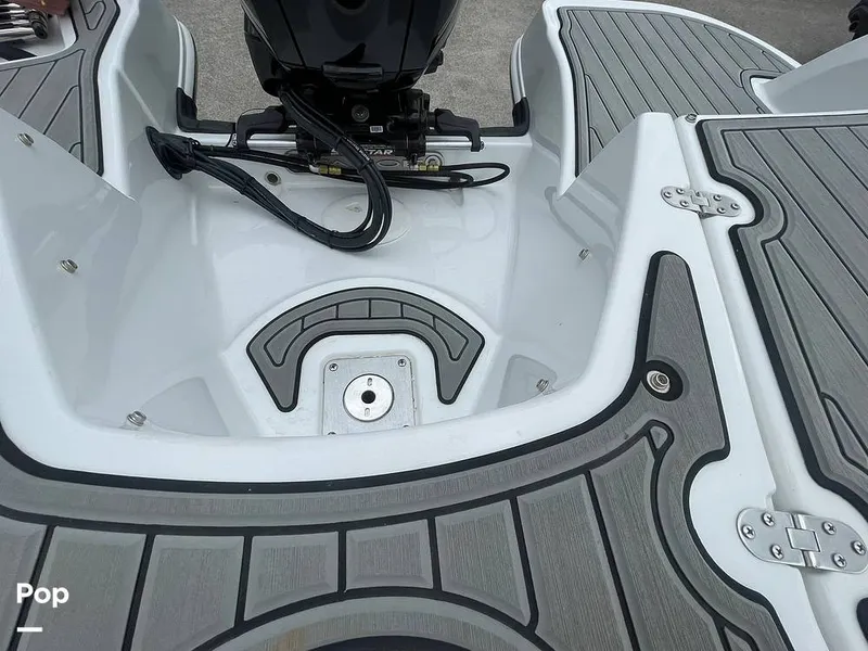 Slide: The Image of Tahoe 450 TF 2021 - 15294741