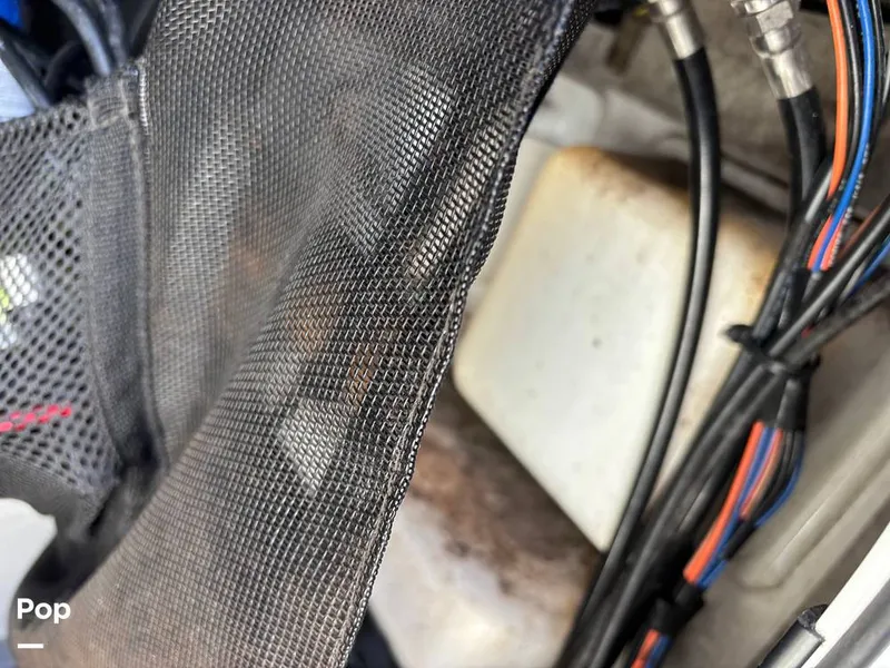 Slide: The Image of Sportsman OPEN 212/CC 2015 - 15311195