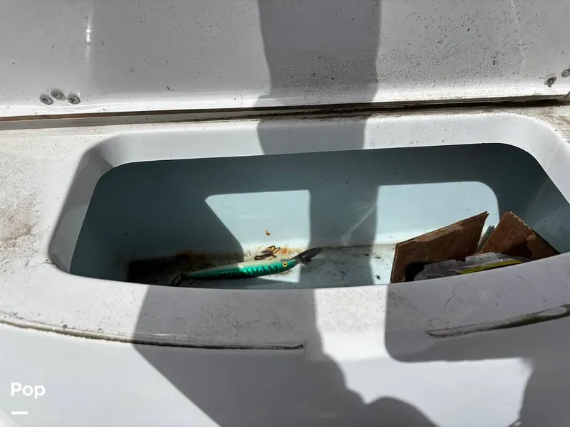 Slide: The Image of Sportsman OPEN 212/CC 2015 - 15311207