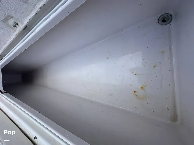 Slide: The Image of Pro-Line 29 Super Sport 2008 - 15584965