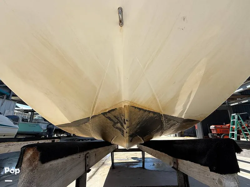 Slide: The Image of Hurricane SS 192 RL 2022 - 15304161