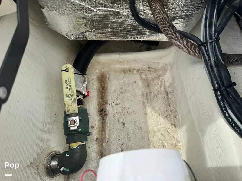 Slide: The Image of Pathfinder 2005 TRS 2023 - 15278972