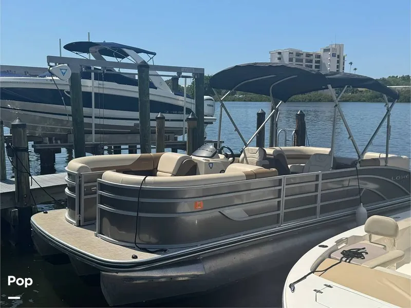 Slide: The Image of Lowe SS 230W 2024 - 15306481