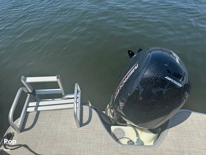 Slide: The Image of Lowe SS 230W 2024 - 15306492