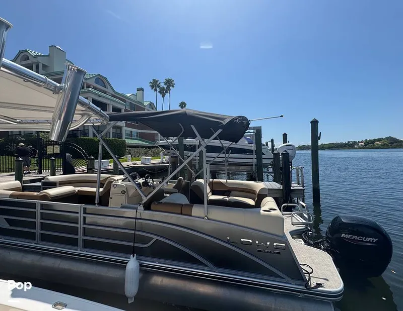 Slide: The Image of Lowe SS 230W 2024 - 15306461