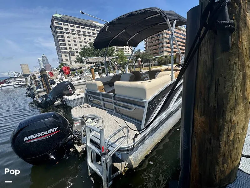 Slide: The Image of Lowe SS 230W 2024 - 15306462