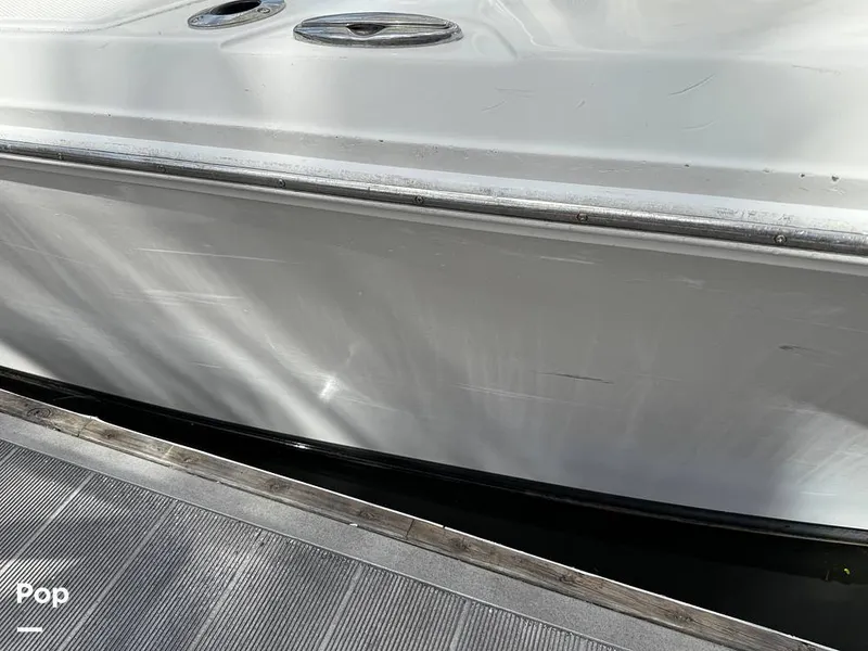 Slide: The Image of Sailfish 242 CC 2023 - 15319980