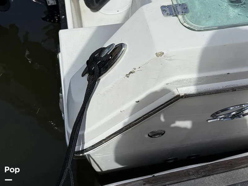 Slide: The Image of Sailfish 242 CC 2023 - 15319983