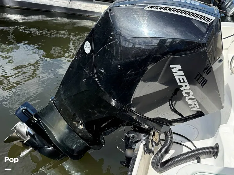 Slide: The Image of Sailfish 242 CC 2023 - 15319986