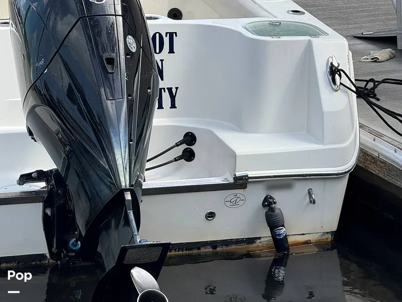 Slide: The Image of Sailfish 242 CC 2023 - 15319988