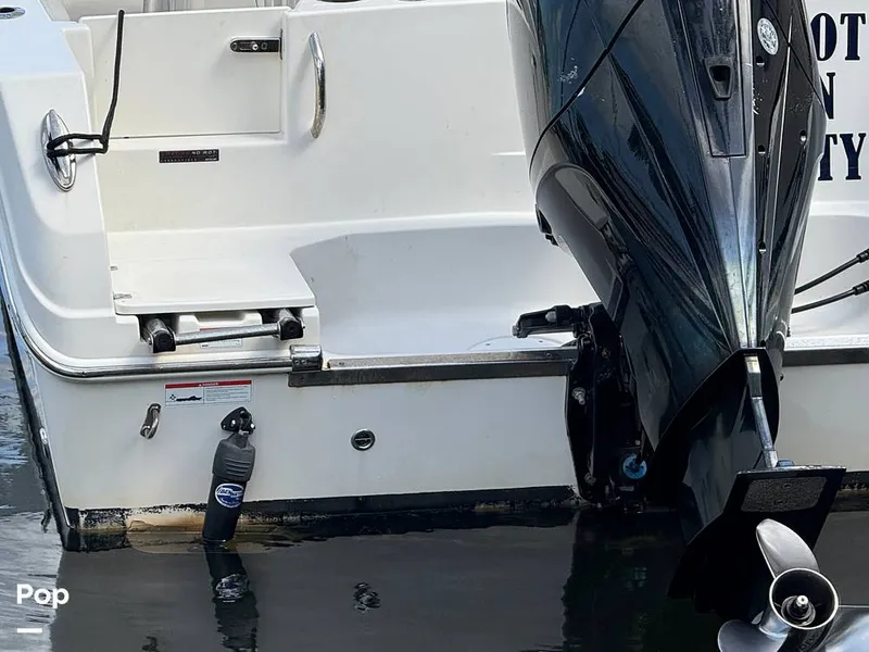 Slide: The Image of Sailfish 242 CC 2023 - 15319989