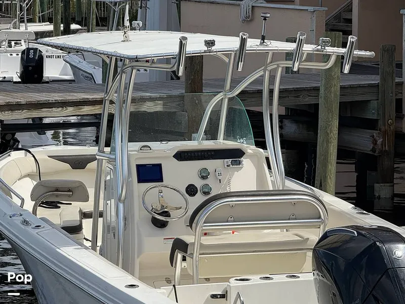 Slide: The Image of Sailfish 242 CC 2023 - 15319991