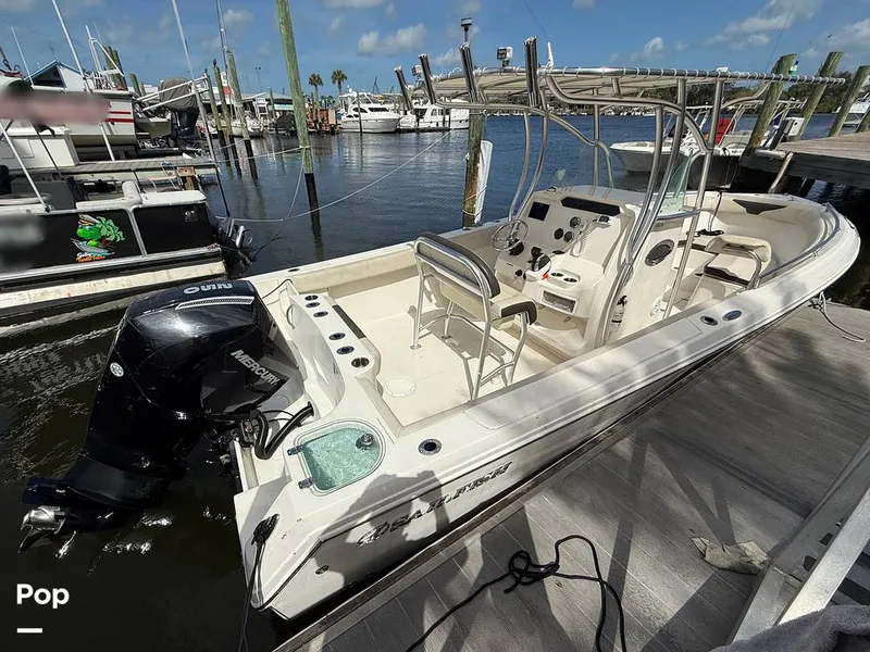 Slide: The Image of Sailfish 242 CC 2023 - 15319895