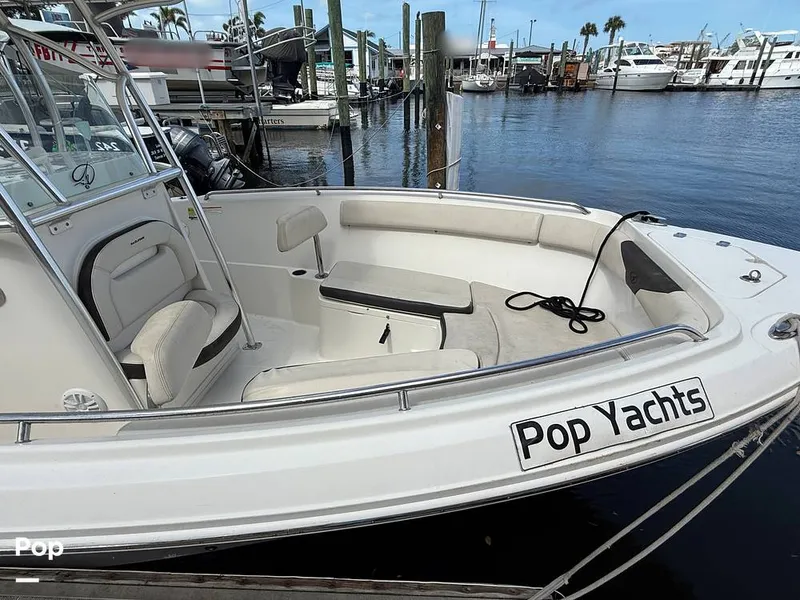 Slide: The Image of Sailfish 242 CC 2023 - 15319903