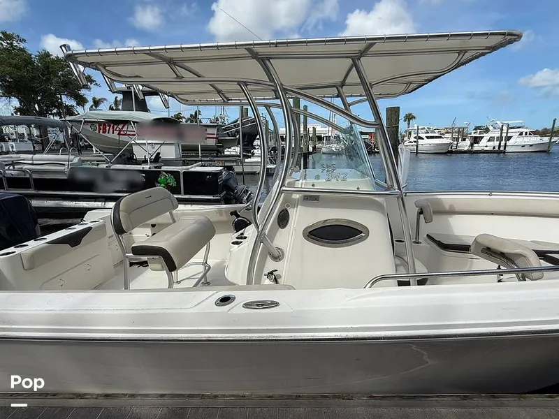 Slide: The Image of Sailfish 242 CC 2023 - 15319906