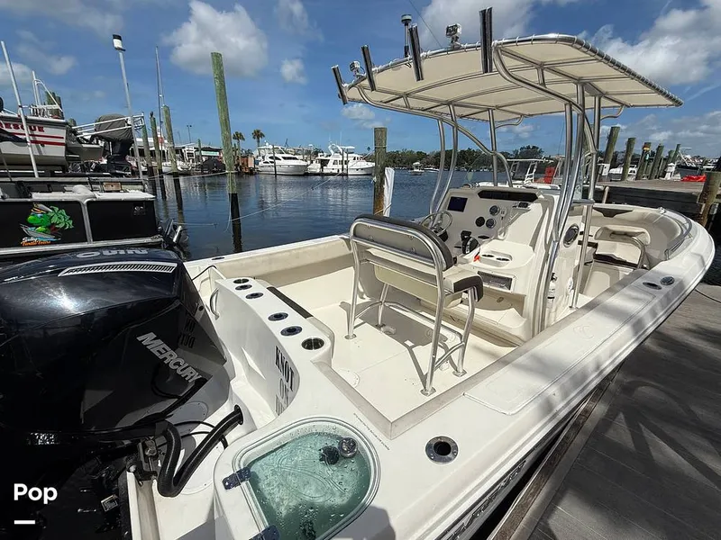 Slide: The Image of Sailfish 242 CC 2023 - 15319910