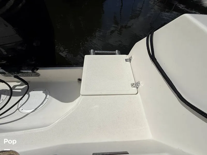 Slide: The Image of Sailfish 242 CC 2023 - 15319912