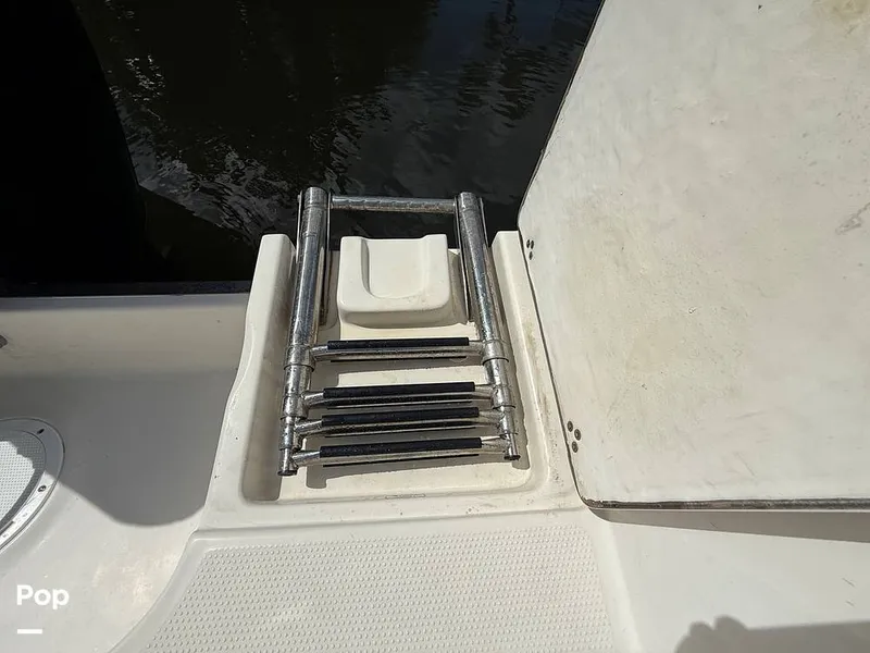 Slide: The Image of Sailfish 242 CC 2023 - 15319913