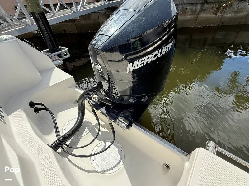 Slide: The Image of Sailfish 242 CC 2023 - 15319914