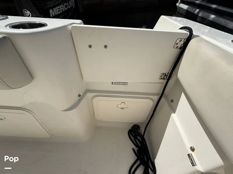 Slide: The Image of Sailfish 242 CC 2023 - 15319916