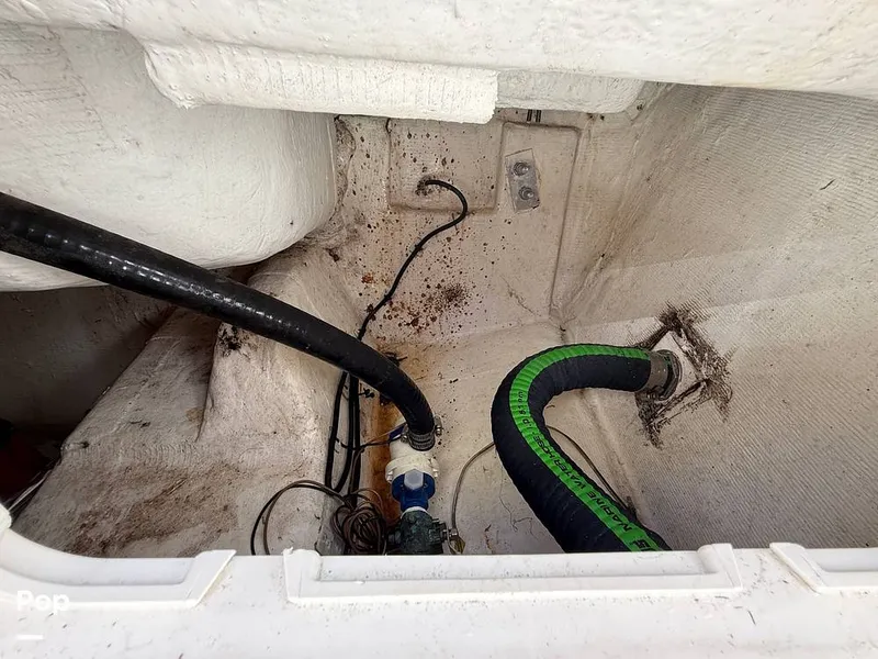 Slide: The Image of Sailfish 242 CC 2023 - 15319917