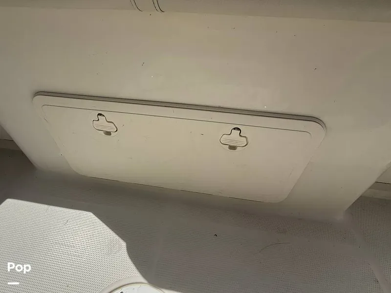 Slide: The Image of Sailfish 242 CC 2023 - 15319918