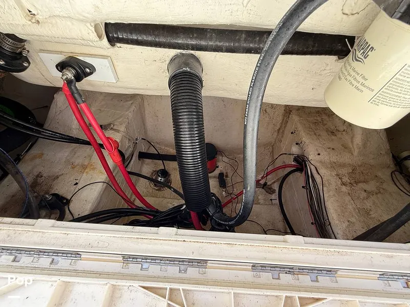 Slide: The Image of Sailfish 242 CC 2023 - 15319919