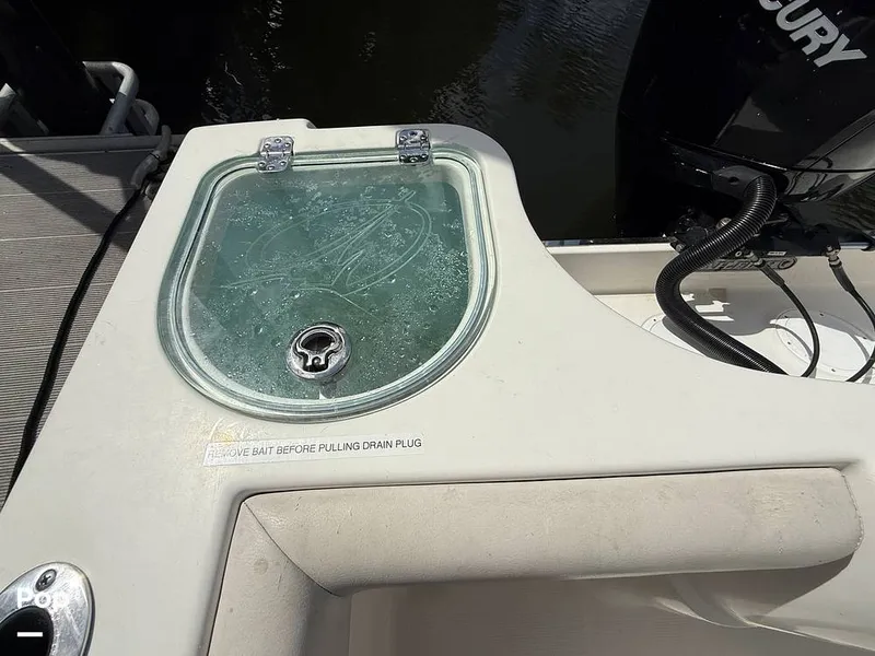 Slide: The Image of Sailfish 242 CC 2023 - 15319920