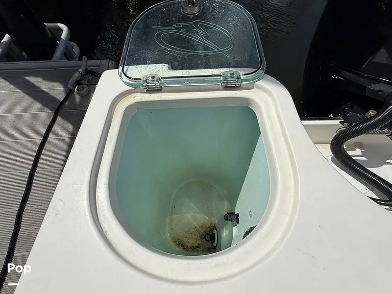 Slide: The Image of Sailfish 242 CC 2023 - 15319921