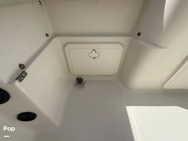 Slide: The Image of Sailfish 242 CC 2023 - 15319922