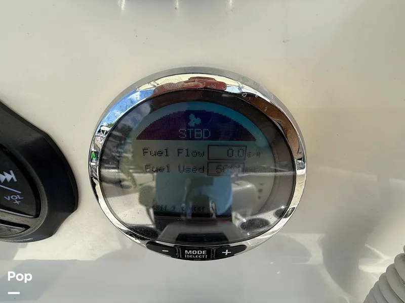 Slide: The Image of Sailfish 242 CC 2023 - 15319936