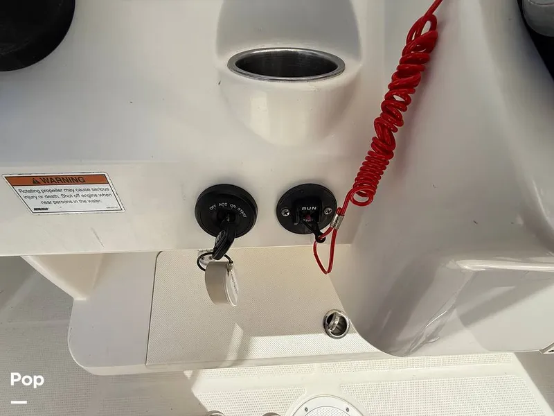 Slide: The Image of Sailfish 242 CC 2023 - 15319942