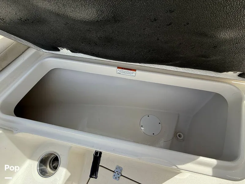 Slide: The Image of Sailfish 242 CC 2023 - 15319949