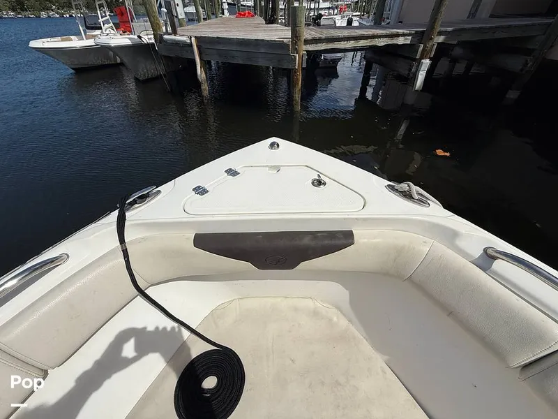 Slide: The Image of Sailfish 242 CC 2023 - 15319951