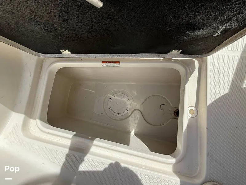 Slide: The Image of Sailfish 242 CC 2023 - 15319956