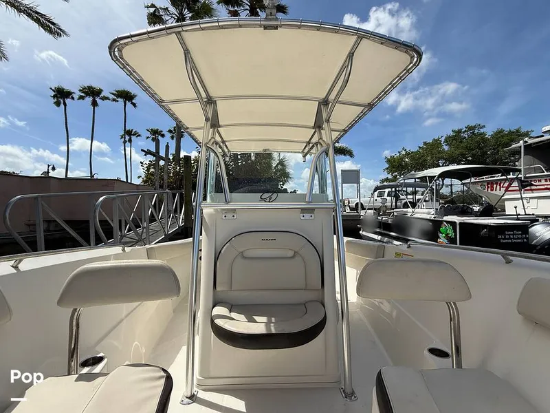 Slide: The Image of Sailfish 242 CC 2023 - 15319957