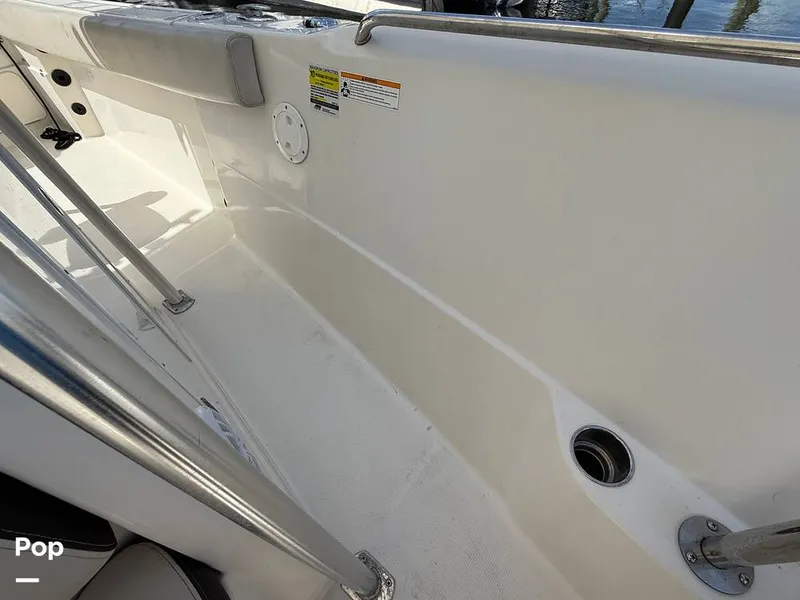 Slide: The Image of Sailfish 242 CC 2023 - 15319959