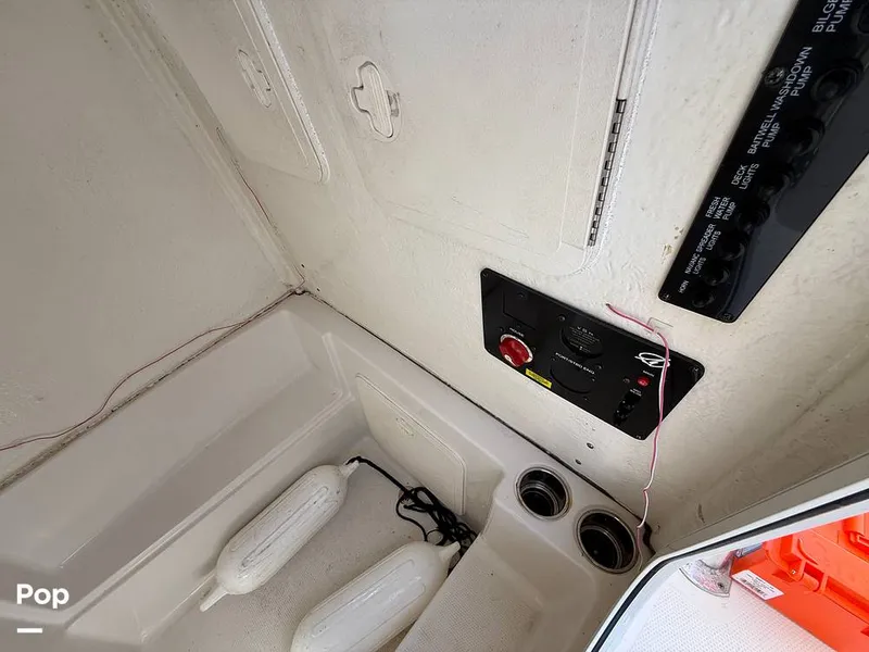 Slide: The Image of Sailfish 242 CC 2023 - 15319963