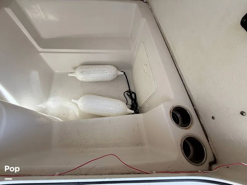 Slide: The Image of Sailfish 242 CC 2023 - 15319965