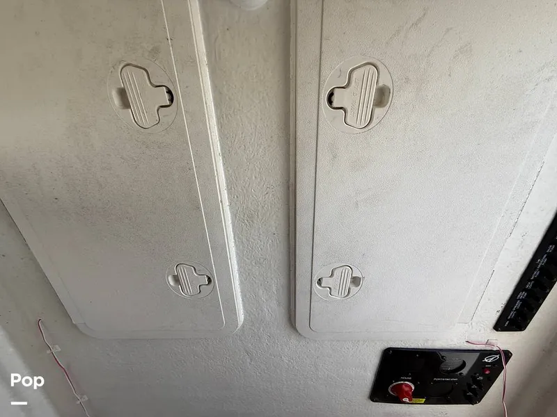 Slide: The Image of Sailfish 242 CC 2023 - 15319966