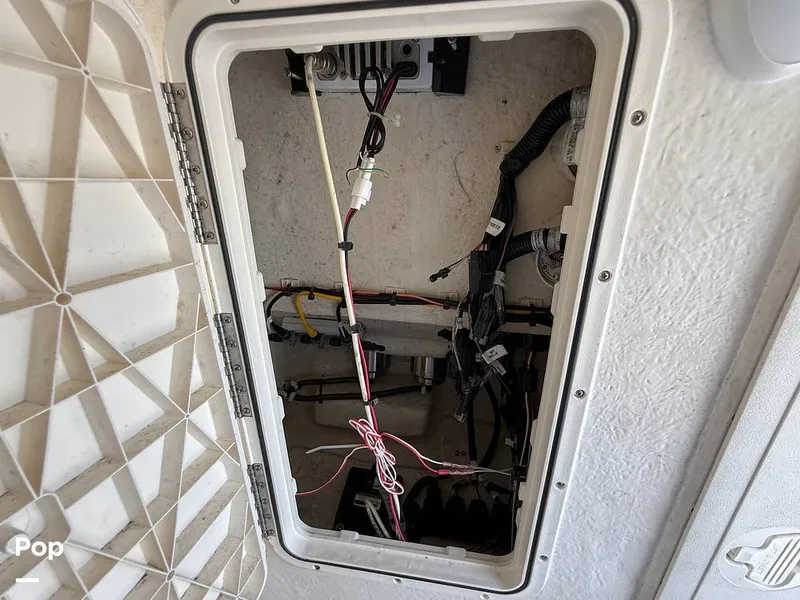 Slide: The Image of Sailfish 242 CC 2023 - 15319967